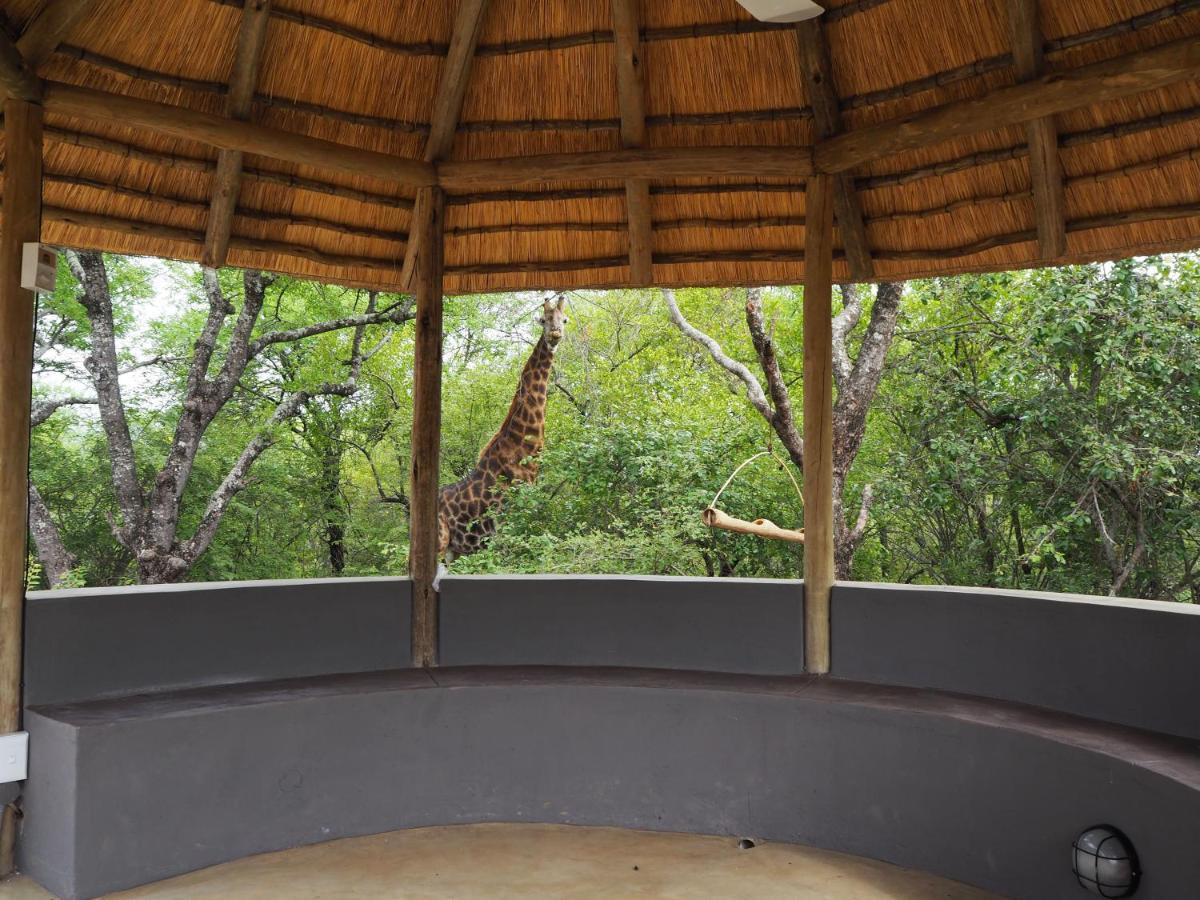 Pata Pata House Villa Marloth Park Buitenkant foto
