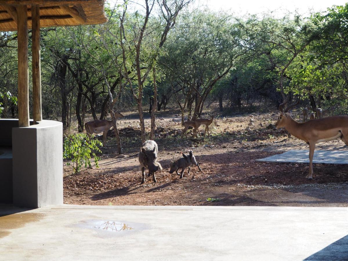 Pata Pata House Villa Marloth Park Buitenkant foto