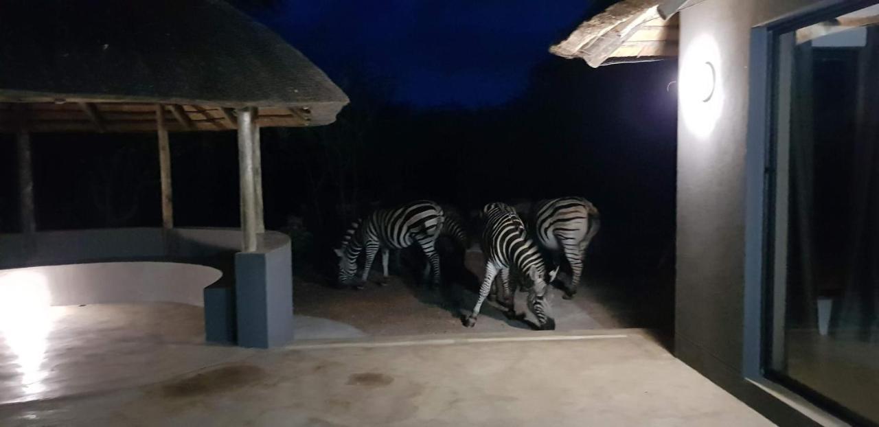 Pata Pata House Villa Marloth Park Buitenkant foto