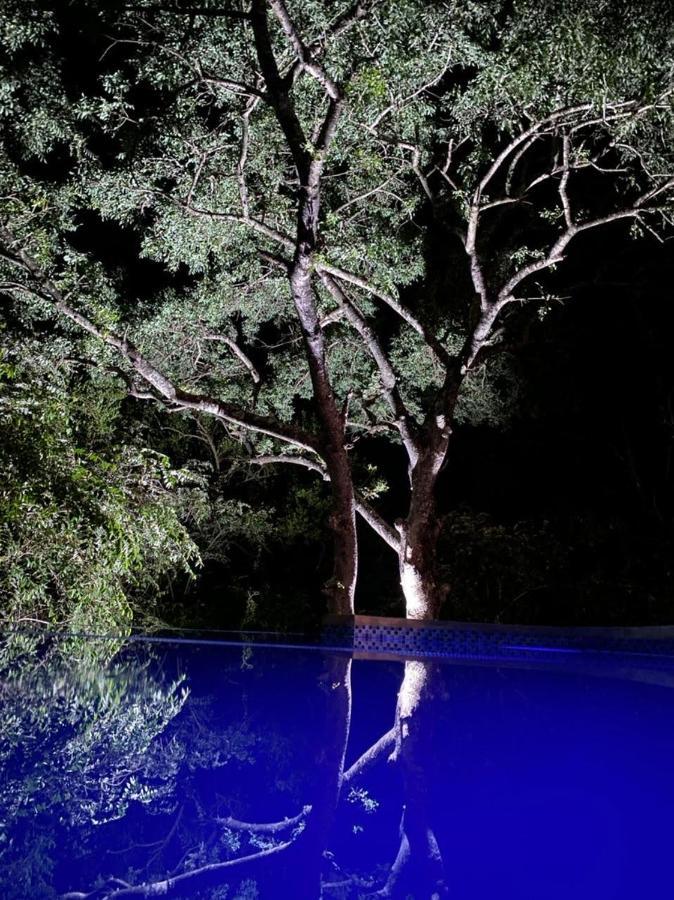 Pata Pata House Villa Marloth Park Buitenkant foto