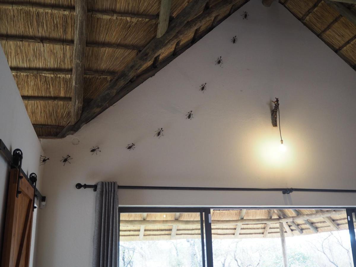 Pata Pata House Villa Marloth Park Buitenkant foto