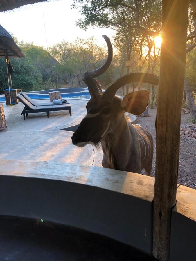 Pata Pata House Villa Marloth Park Buitenkant foto